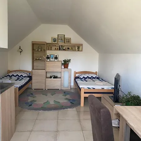 Apartment Ilkicev Kucerak Vrdnik