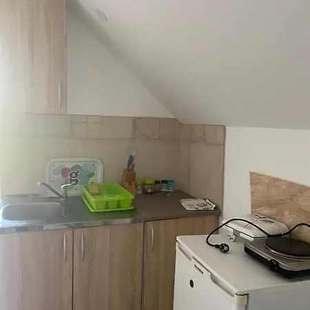 Ilkicev Kucerak Apartment Vrdnik
