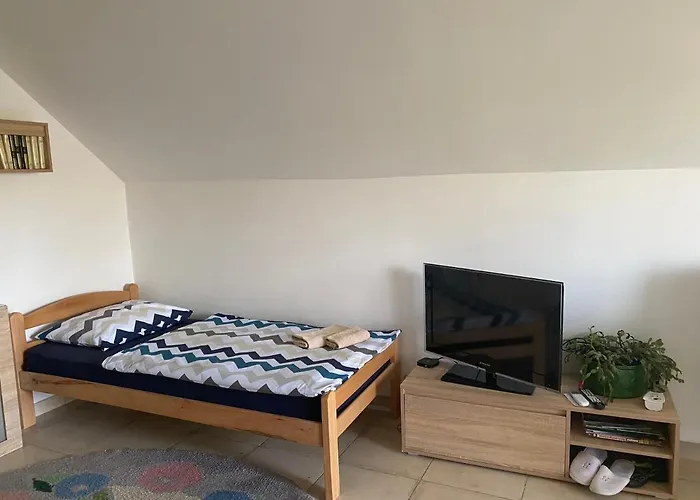 Ilkicev Kucerak Rednek